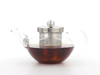 Pimlico Glass Teapot with Infuser